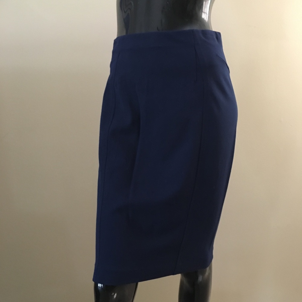 Ann Taylor skirt